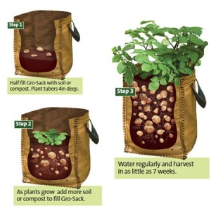 grow bags