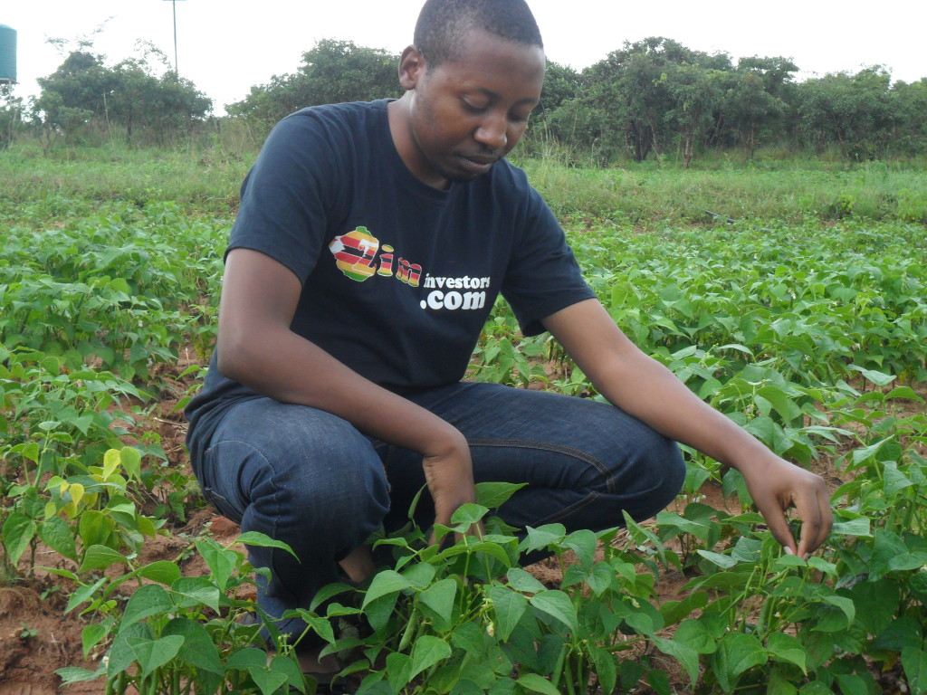 Become your own boss in Zimbabwe! Start-up Zimbabwe