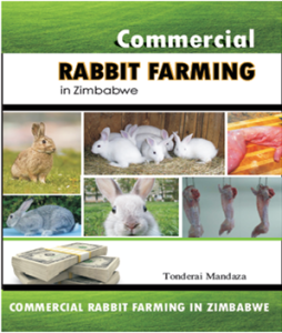commercial rabbit farming in Zimbabwe book sales at $15.00/copy